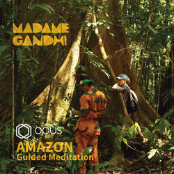 Amazon: Instrumental Meditation