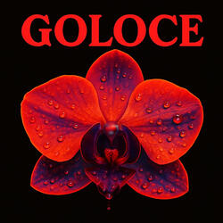 Goloce