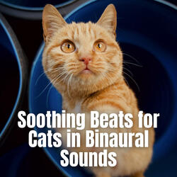 Harmonious Meowscapes