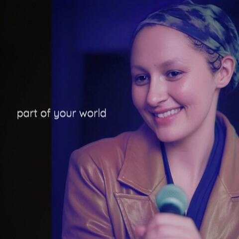 Part Of Your World