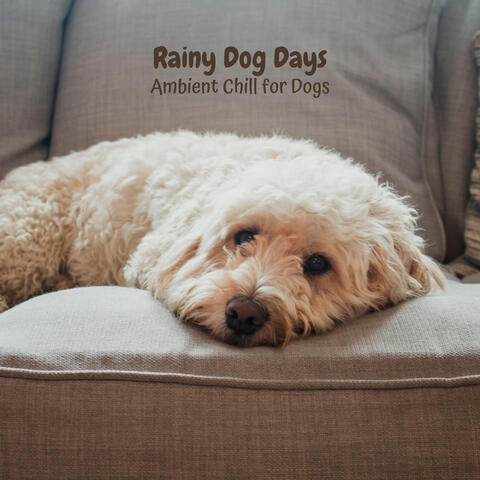 Rainy Dog Days: Ambient Chill for Dogs