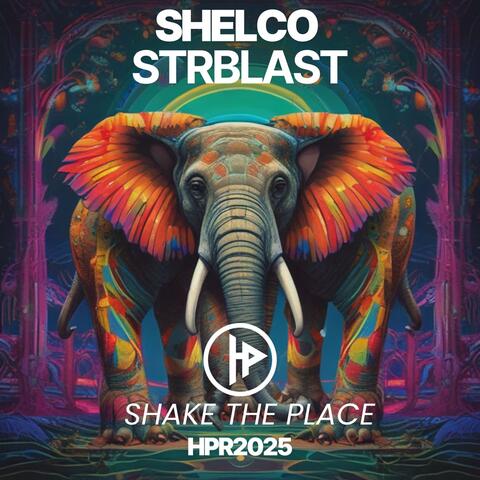 Shake The Place