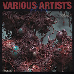 The petrified heart of the pendle witches