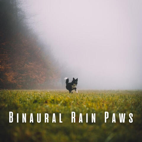 Binaural Rain Paws: Theta Waves for Tranquil Dogs