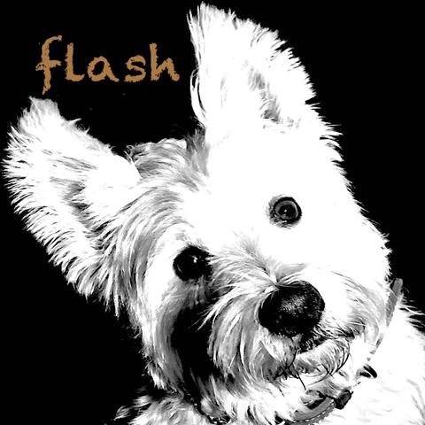 Flash
