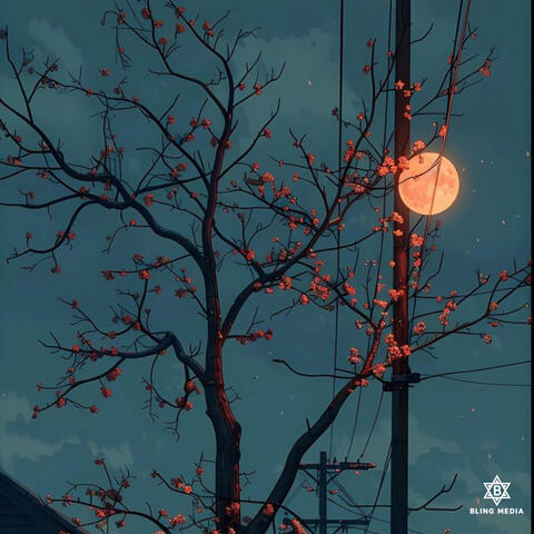 Between Piano and Moonlight