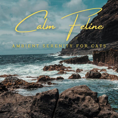 Calm Feline Waters: Ambient Serenity for Cats