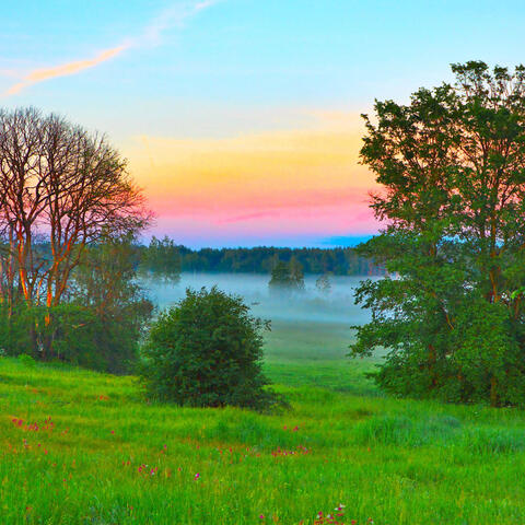 Ethereal Landscapes: Nature's Melodic Tapestry