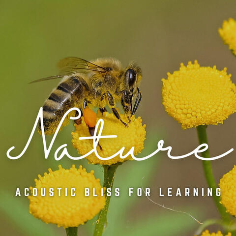 Zen Study Waves: Acoustic Bliss for Learning