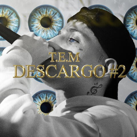 Descargo #2