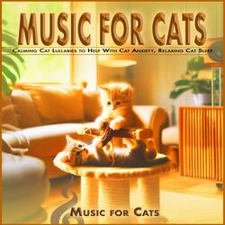 Music For Pets While You're Away