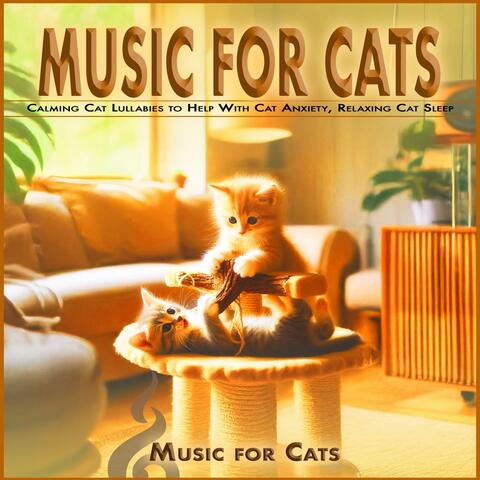 Music for Cats: Calming Cat Lullabies to Help With Cat Anxiety, Relaxing Cat Sleep
