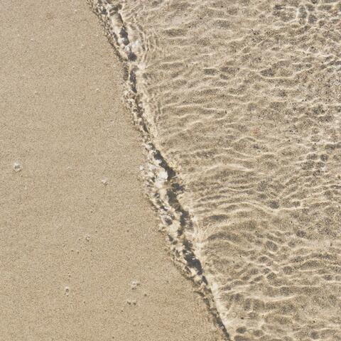 swim