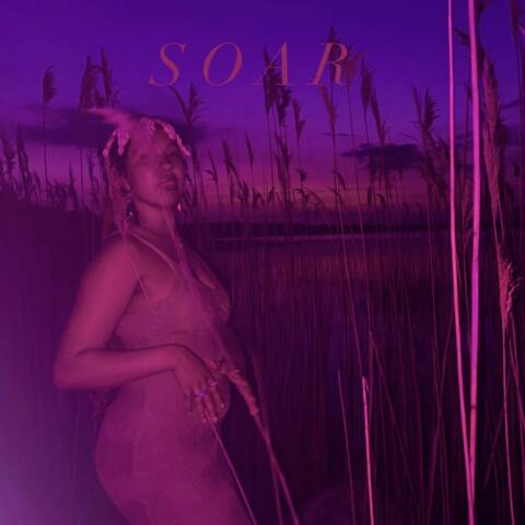 Soar