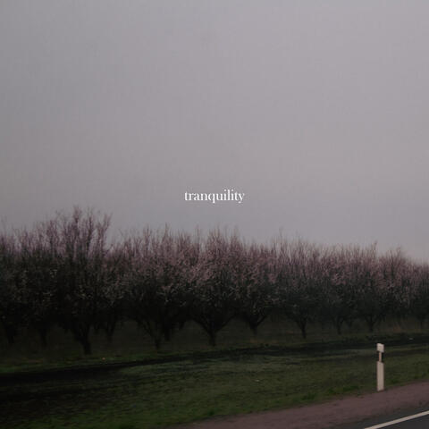 tranquility