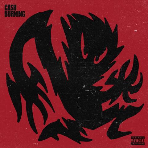 CASH BURNING