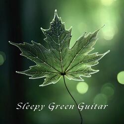 Quietly Listening to the Wind
