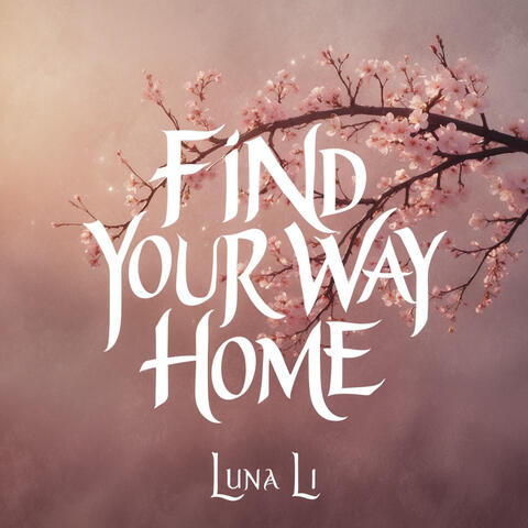 Find Your Way Home