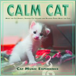 Cat Sleep Vibe Playlist