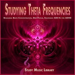 All Night Study Session