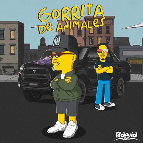 Gorrita de Animales