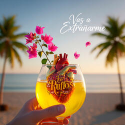 Vas a extrañarme