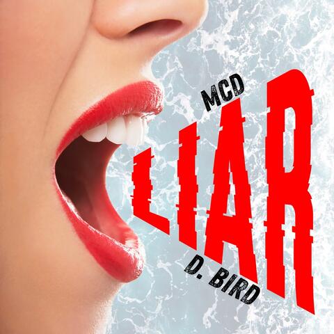 Liar
