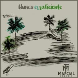 Nunca Es Suficiente