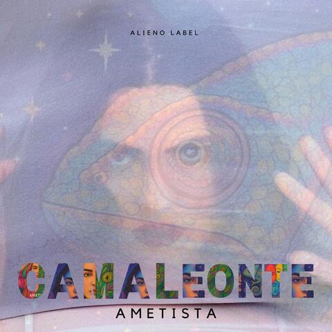 Camaleonte