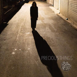 Precious Things