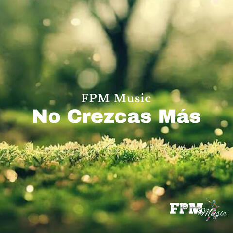 No Crezcas Más