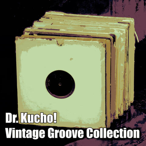 Vintage Groove Collection