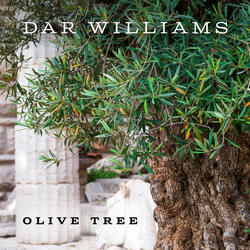 Olive Tree