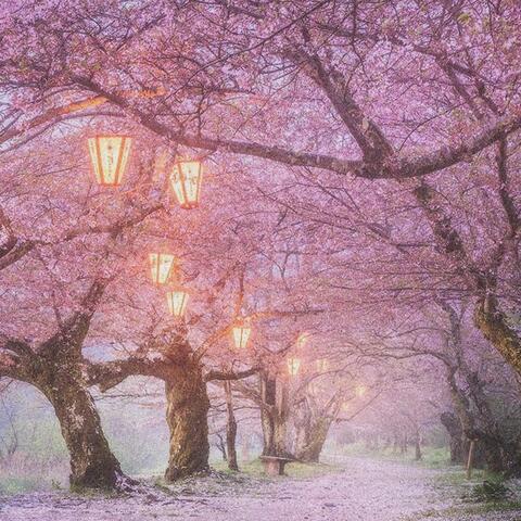 PINK TREE