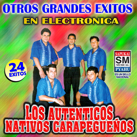 Otros grandes exitos en electronica