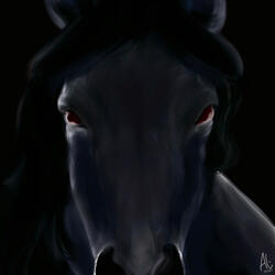 A Horse Who Can't Be Rode