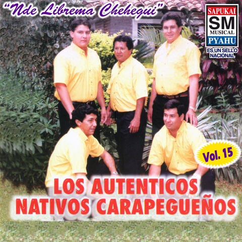 Nde librema chehegui, Vol. 15