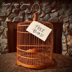 Free Bird