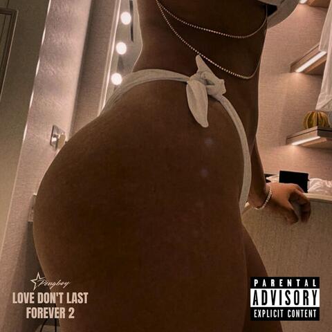 Love Don't Last Forever 2
