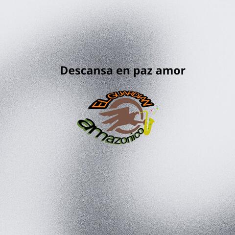 Descansa en paz amor
