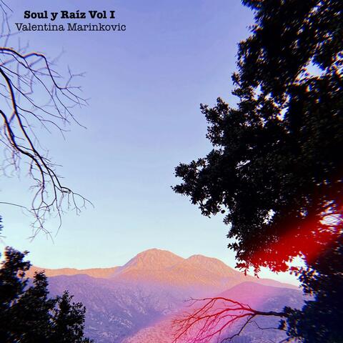 Soul y Raíz, Vol. 1