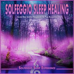 Ambient Sleep Alignment