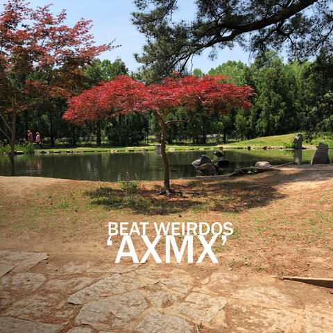 AXMX
