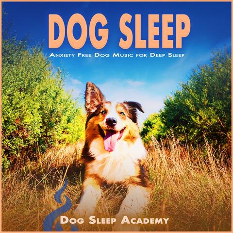 Dog Sleep: Anxiety Free Dog Music for Deep Sleep