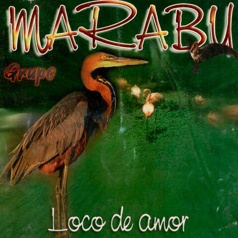 Loco de Amor