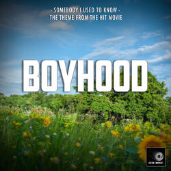 Somebody That I Used To Know (From "Boyhood")