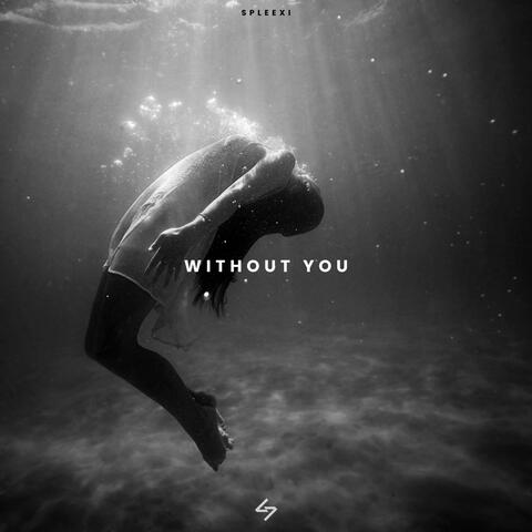 Without You
