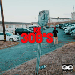 308's