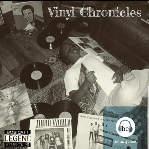 VINYL CRONICLES