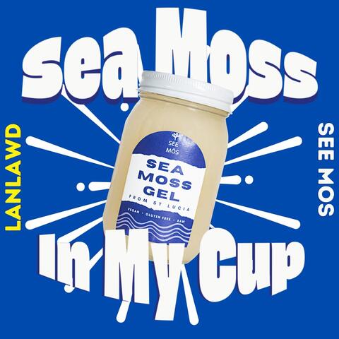 Sea moss in my cup